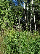 IMG_8987