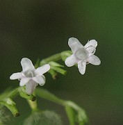 IMG_7754