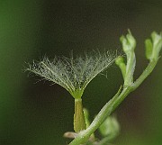 IMG_7757