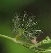 IMG_7758