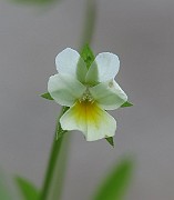 IMG_2384