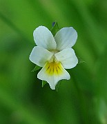 IMG_2897