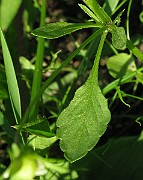 IMG_3702