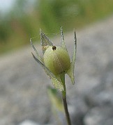 IMG_4813
