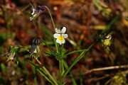 IMG_6489