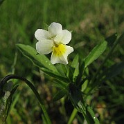 IMG_8117