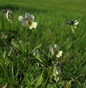 IMG_8118b