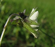 IMG_8121