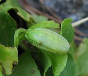 IMG_7848
