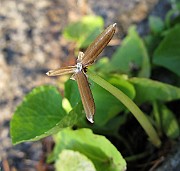 IMG_7849