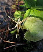 IMG_7850