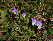 IMG_1968