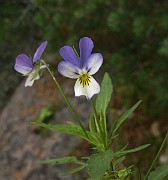 IMG_2885