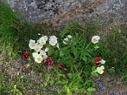 IMG_0001