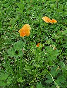 IMG_8098