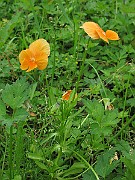 IMG_8099