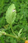 IMG_8100