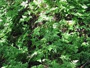 IMG_5458