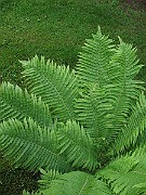 IMG_7775