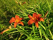 IMG_1653