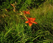 IMG_1659