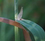 IMG_4938