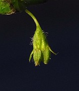 IMG_2668