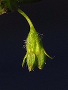 IMG_2669