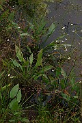 IMG_1931