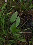 IMG_1932