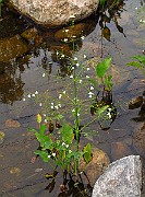 IMG_3696