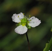 IMG_7181