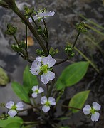 IMG_9245