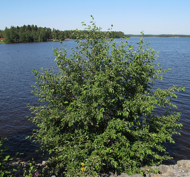IMG_8743.JPG