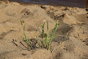 IMG_0799