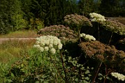 IMG_6224