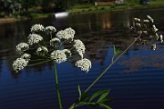 IMG_6791