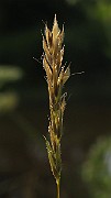 IMG_3782