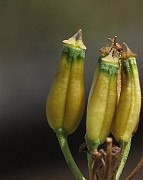IMG_7767