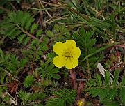 IMG_6351