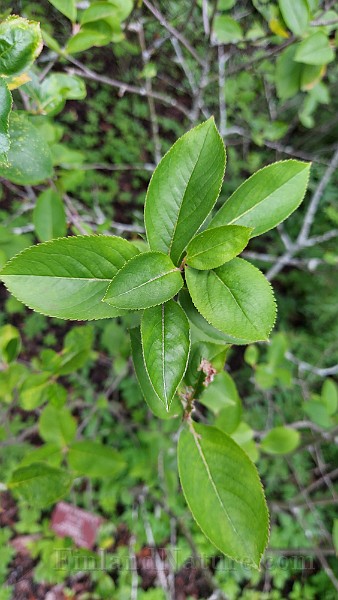 20200730_155055.jpg