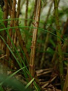 IMG_5919