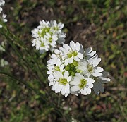 IMG_7150