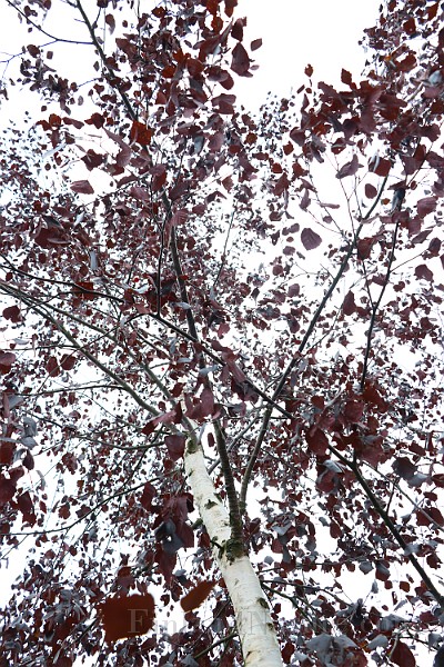 IMG_6792.JPG