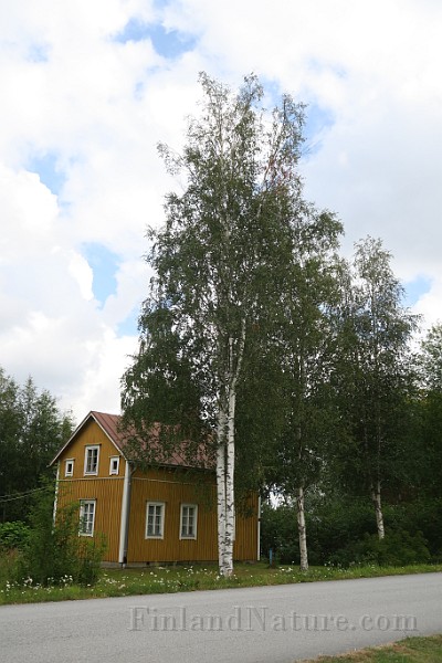 IMG_7049.JPG