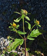 IMG_9859