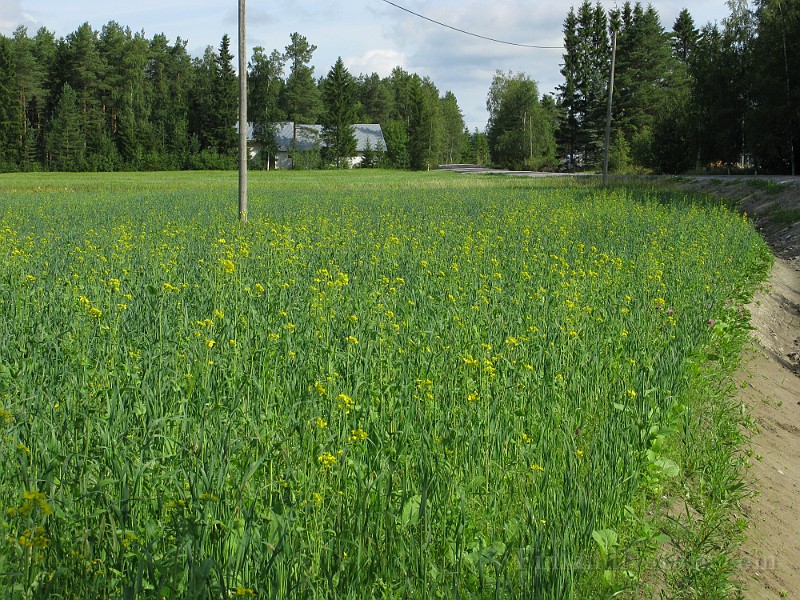 IMG_1923.jpg