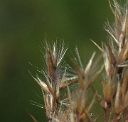 IMG_1936