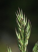 IMG_2482