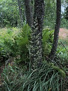 IMG_5012